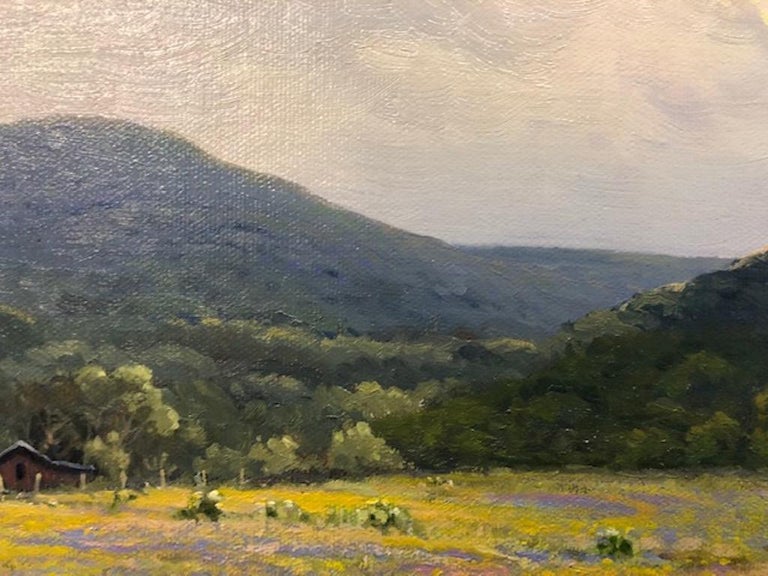 Jerry Ruthven Evening Near Leakey, Texas, Painting at 1stdibs