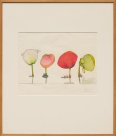 Capullos de Begonia