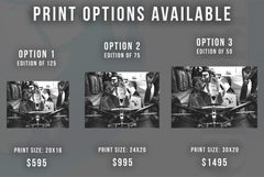 Niki Lauda Racing Fine Art Print