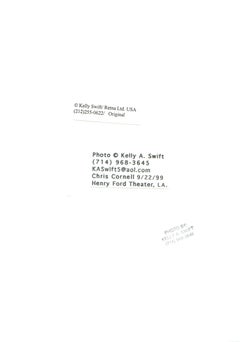 Chris Cornell on Stage Vintage Original Photograph