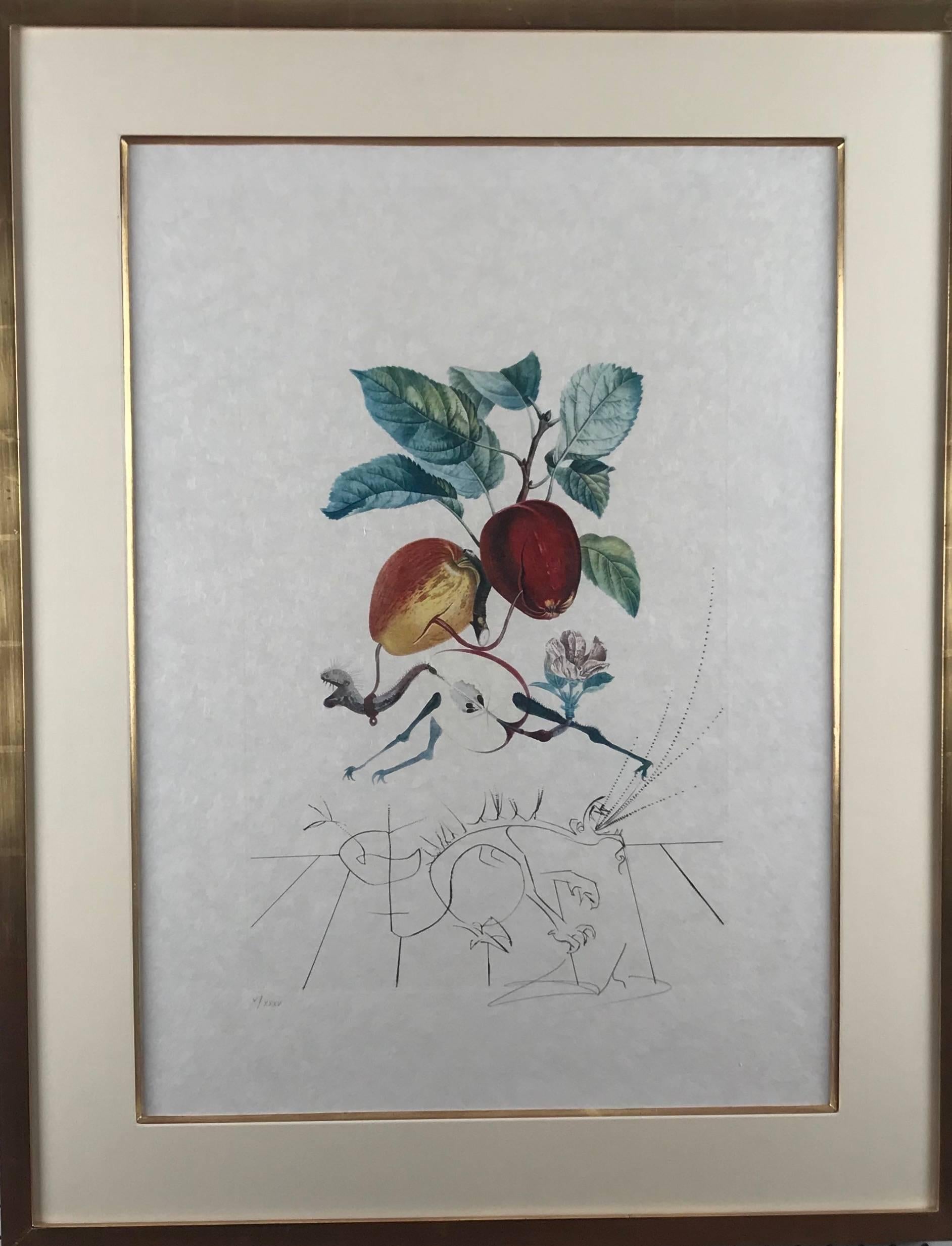 salvador dali paintings apple