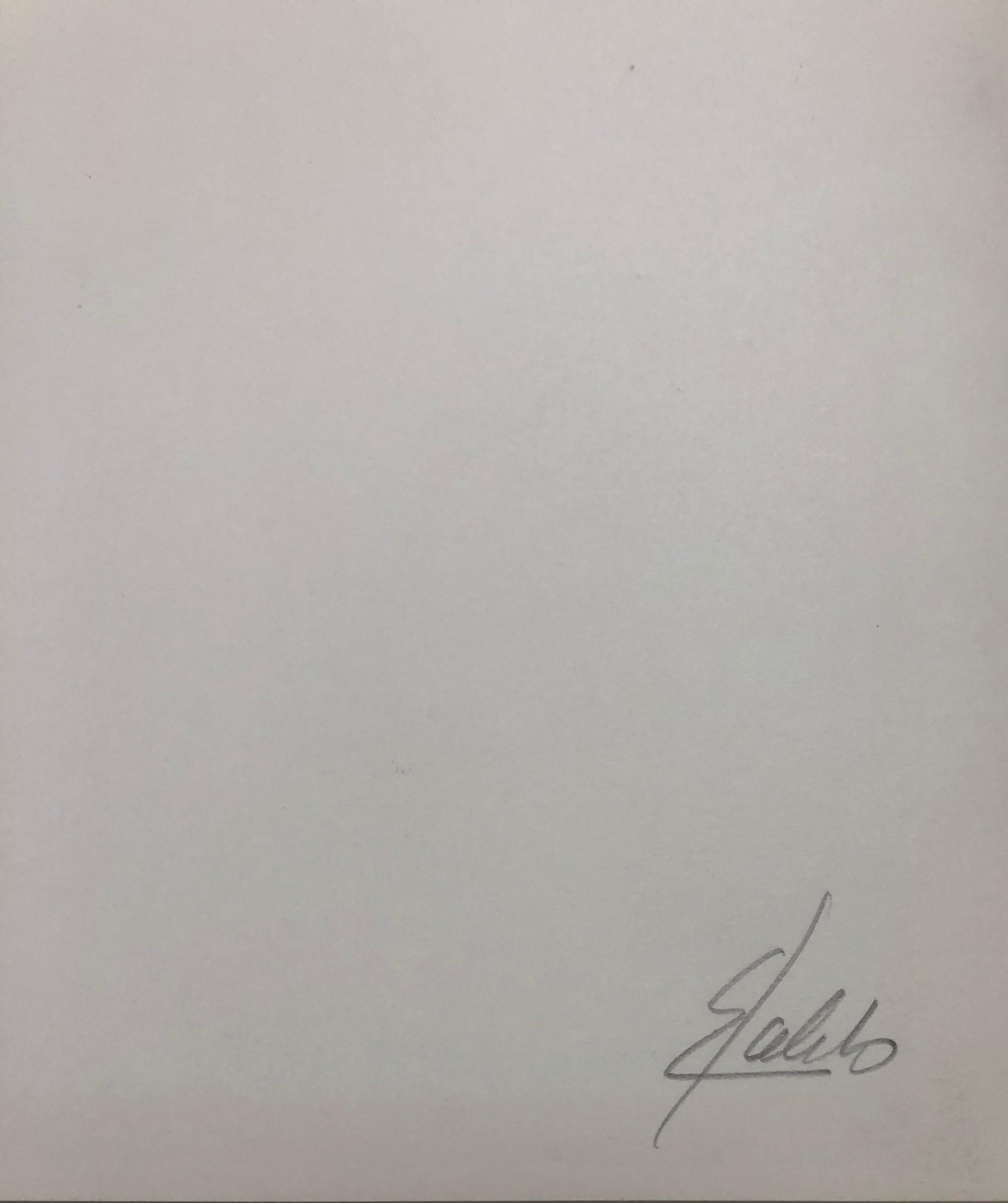 This piece is an original silver gelatin print of Frida Kahlo taken by Antonio Kahlo circa 1940. It is hand signed in pencil on verso by Antonio who was Frida's nephew. The image measures 13 x 9.25 inches, the sheet measures 14 x 10.75 inches and