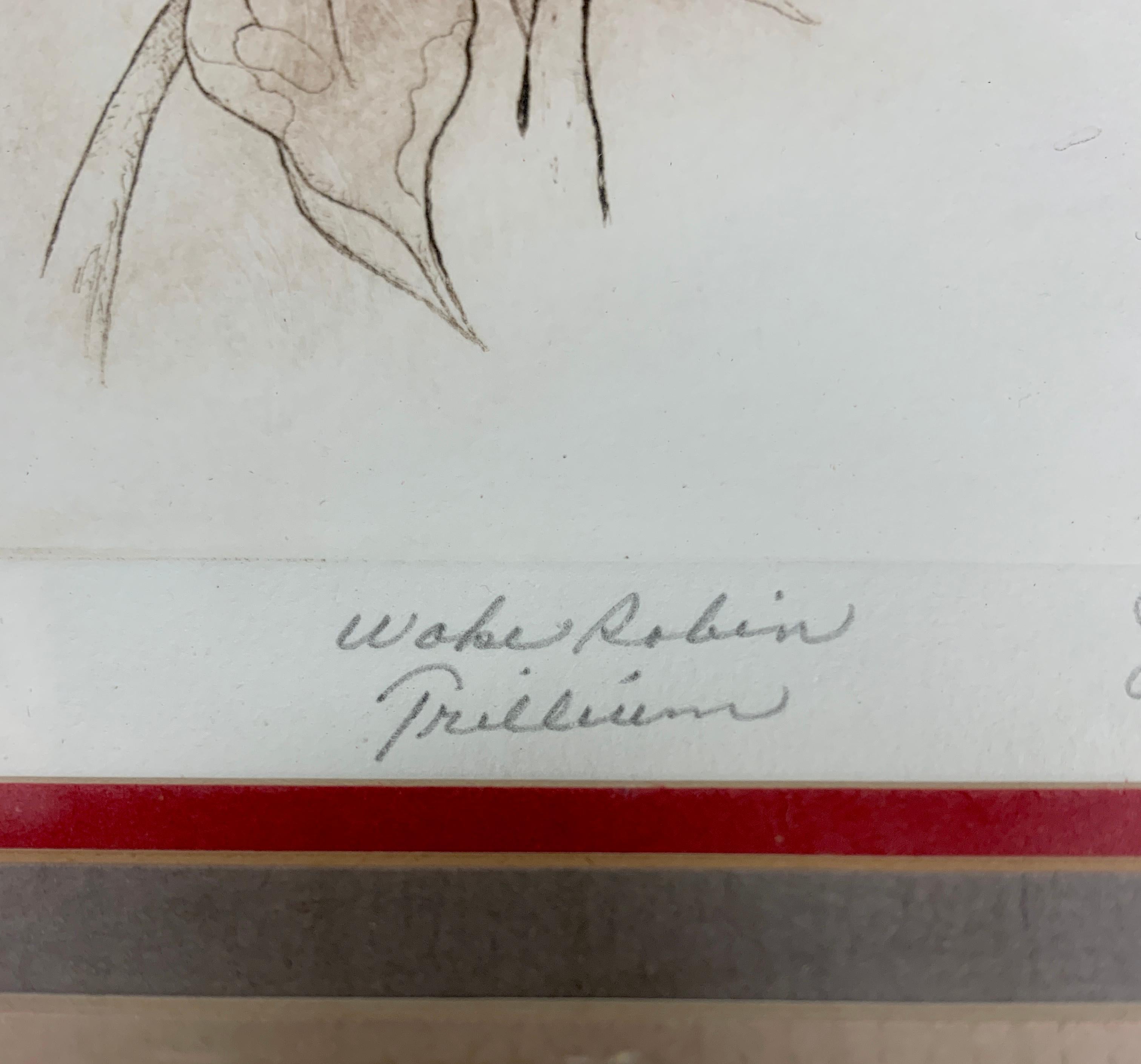 Gravure colorée à la main « Wake Robin Trillium » par Jody Mehaffie 3