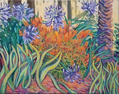 Agapanthus
