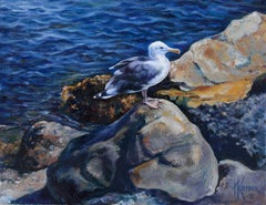 Seagull On a Perch