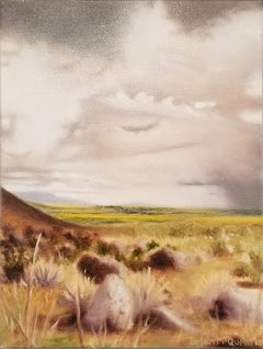 Palm Canyon Borrego Springs