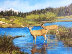 Teton Deer