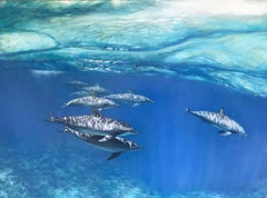Pod of Dolphins