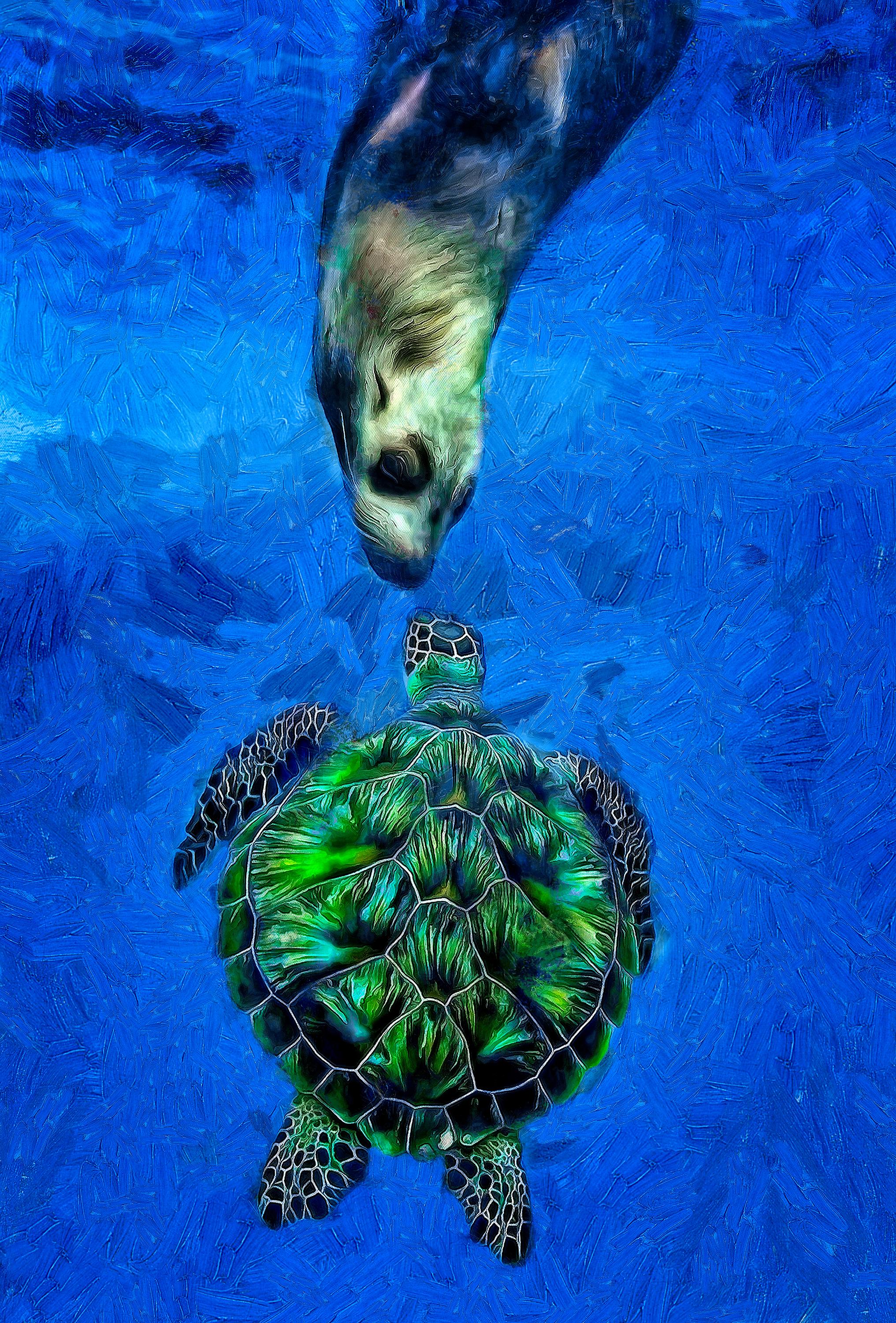 Clay Harris Abstract Painting - Sea Lion and Turtle