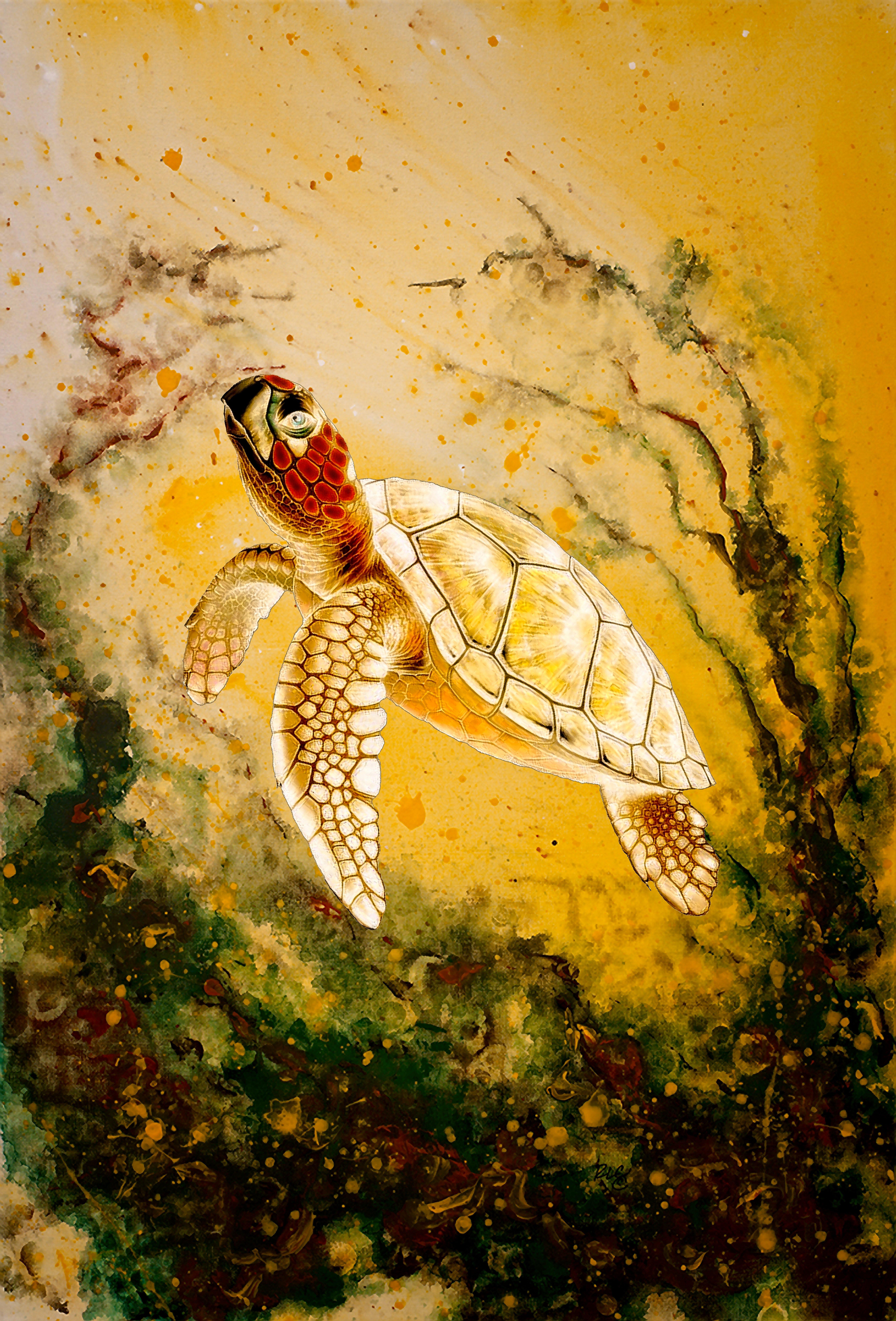 Clay Harris Abstract Painting - Turtles' Underwater Garden