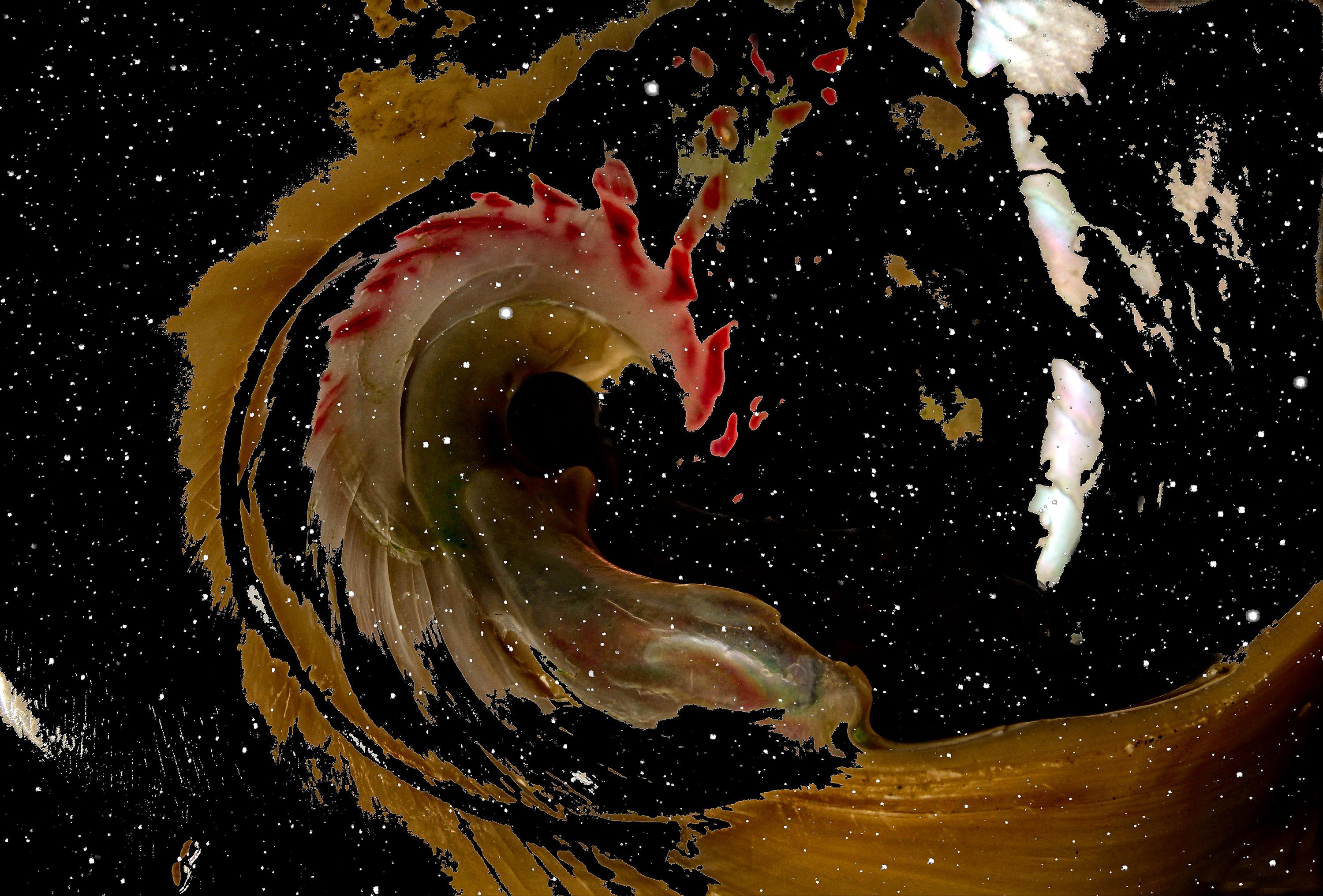 Clay Harris Animal Painting - Black Hole