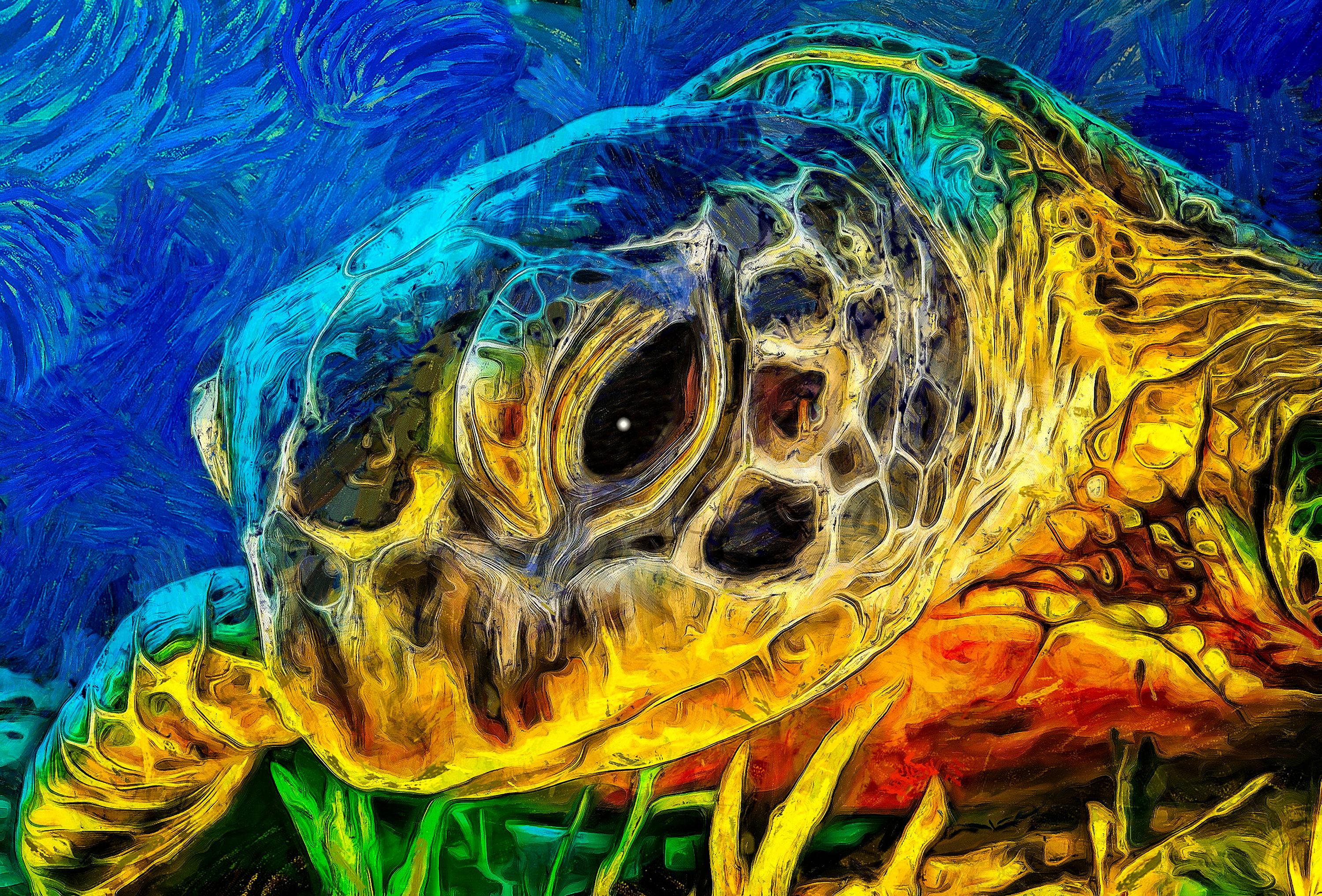 Clay Harris Animal Painting - Turtle Eye
