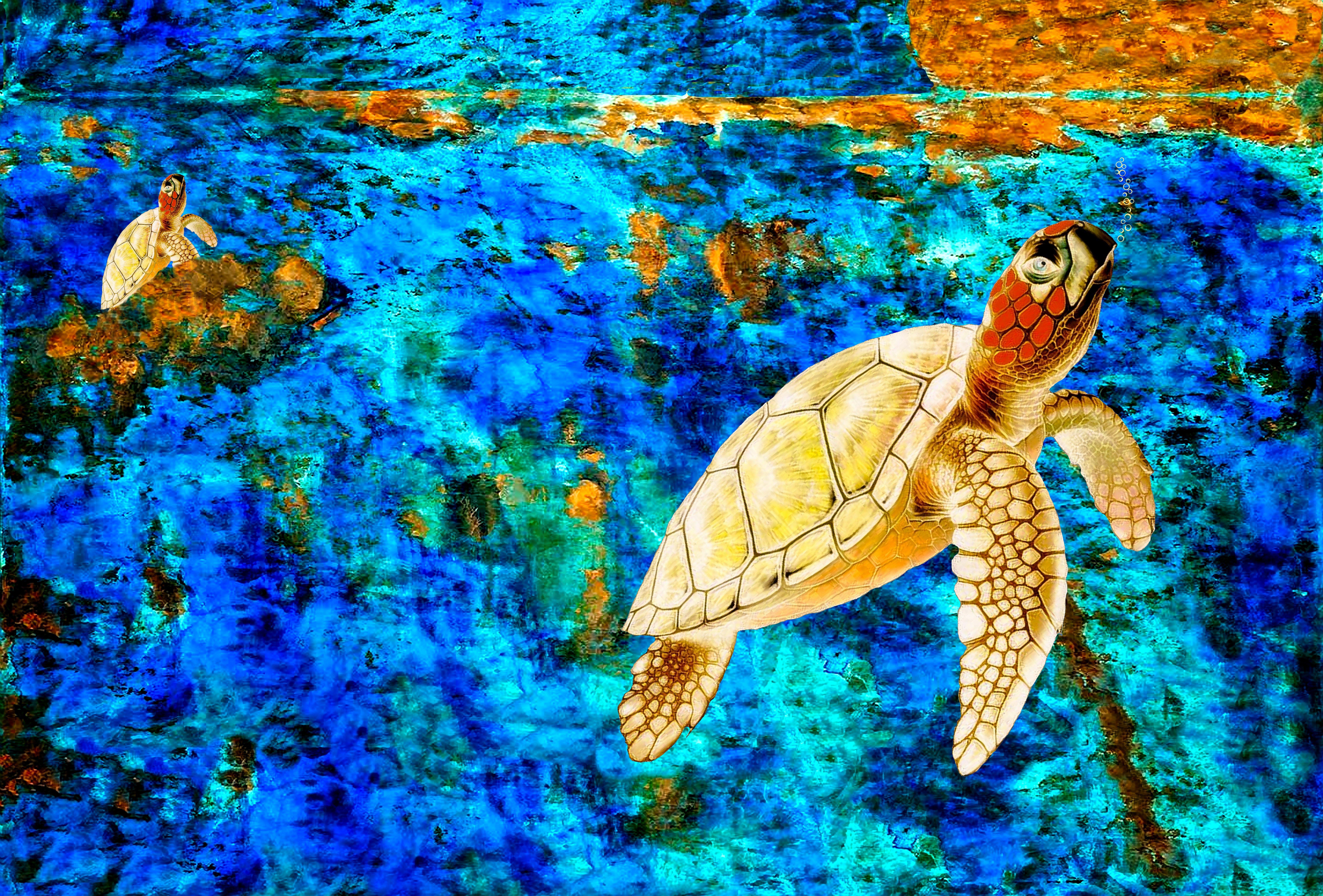 Clay Harris Animal Painting - Turtle Sunrise