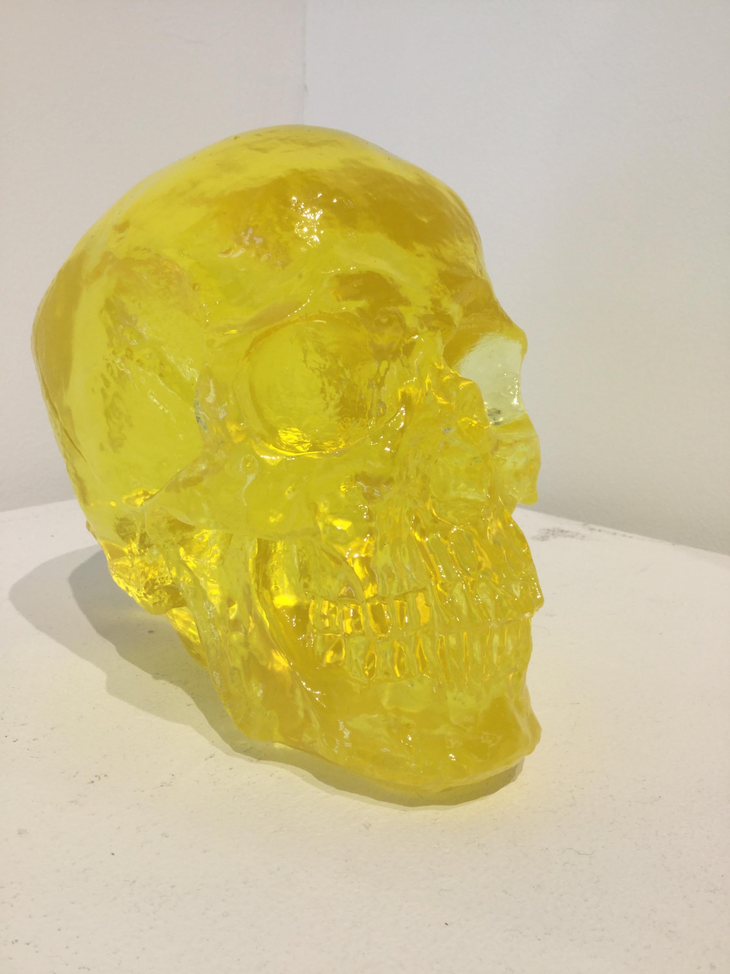 Sam Tufnell, Lemon Skull 1