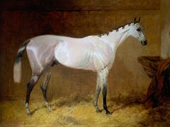 19th Century English Sporting Oil on Canvas of a Grey Hunter in a Stable