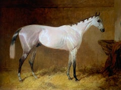 Antique 19th Century English Sporting Oil on Canvas of a Grey Hunter in a Stable 