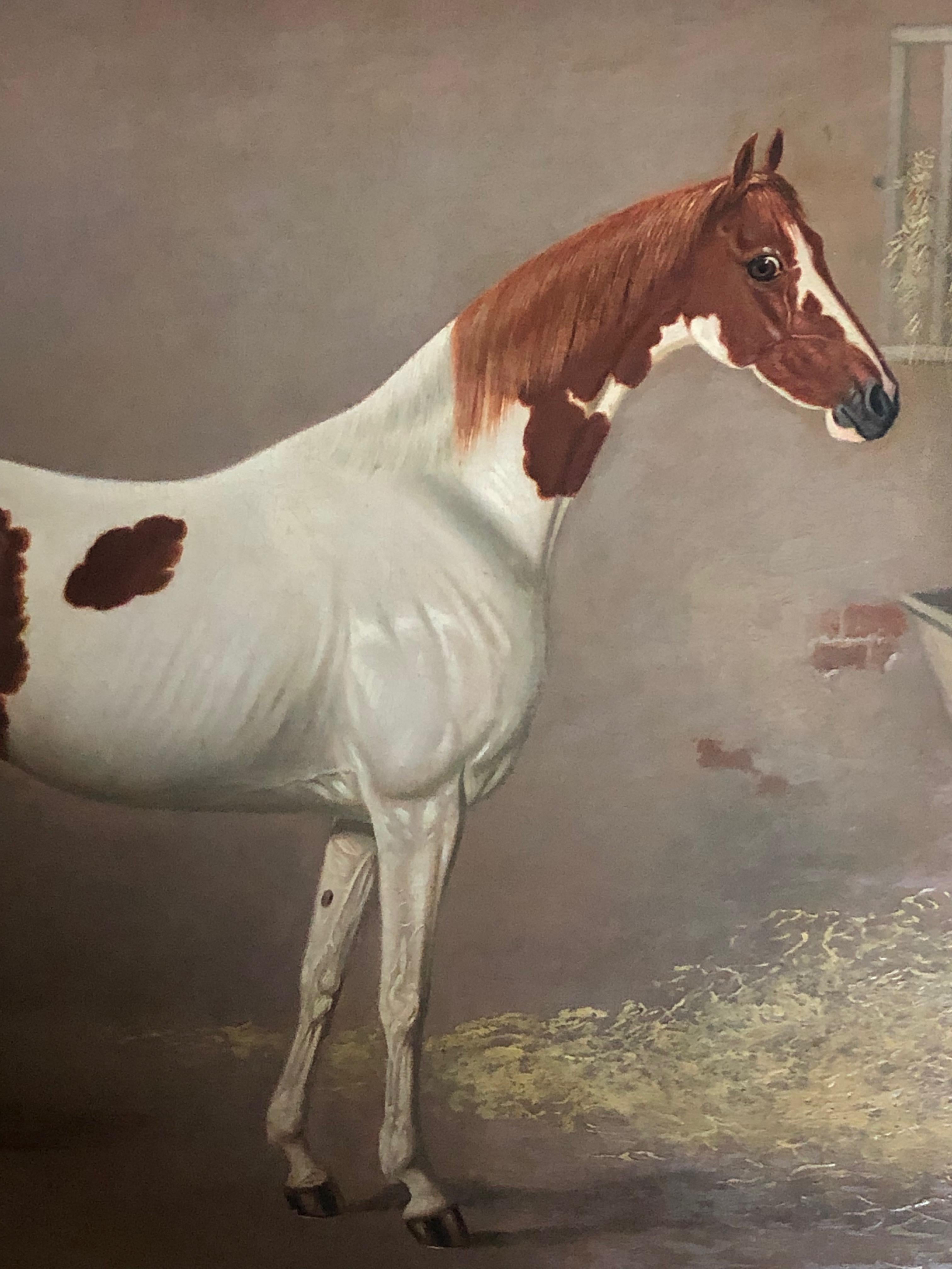 A Skewbald Pony in a Stable by G. Jackson - Painting by G. JACKSON