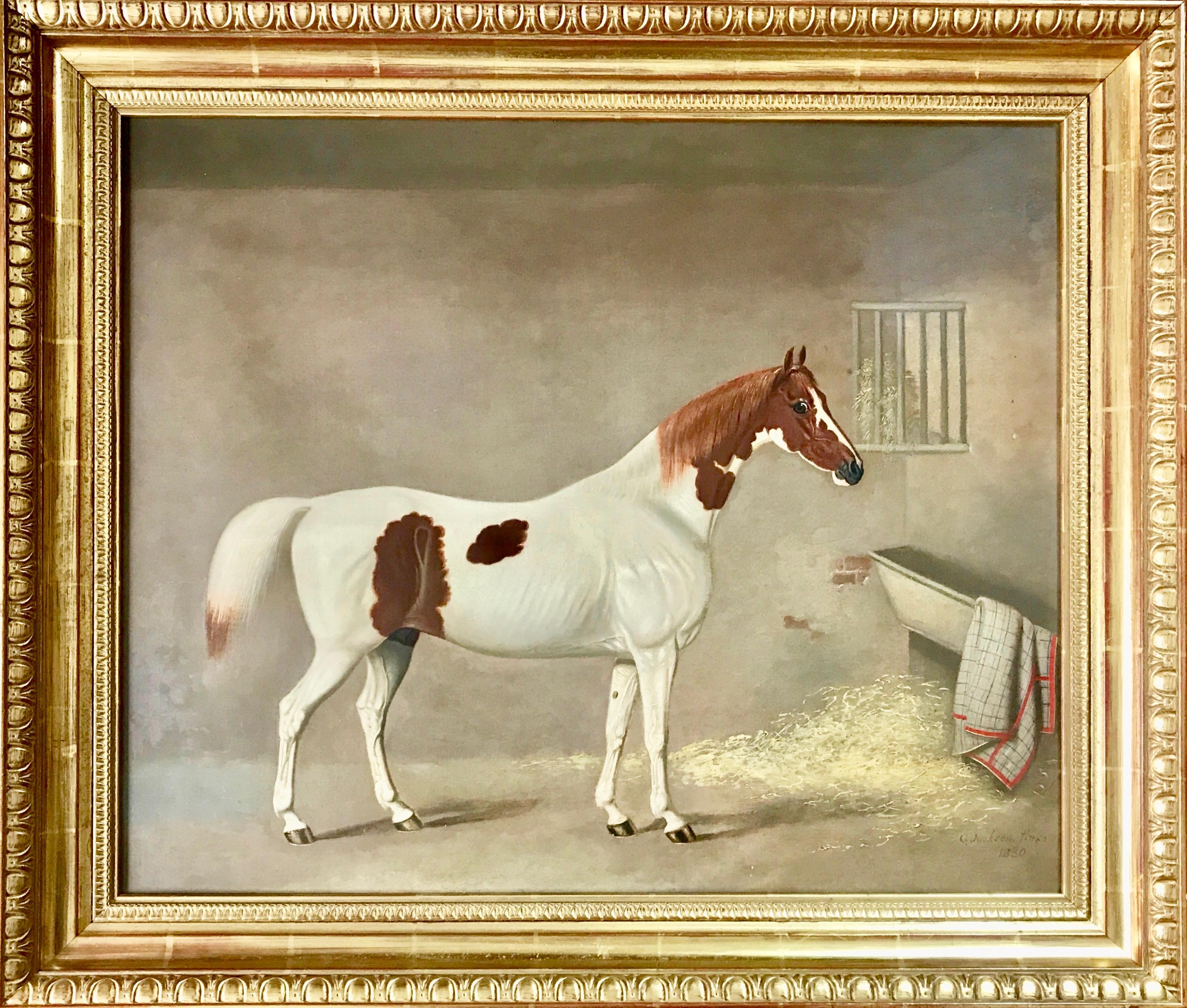 A SKEWBALD HORSE IN A STABLE - BY G. JACKSON.
 
Fine, large, and high quality oil on canvas of a skewbald horse in a stable. Signed G. Jackson. Pinxt and dated 1830 lower right.

A rare example by the celebrated animal painter G. Jackson, who was an