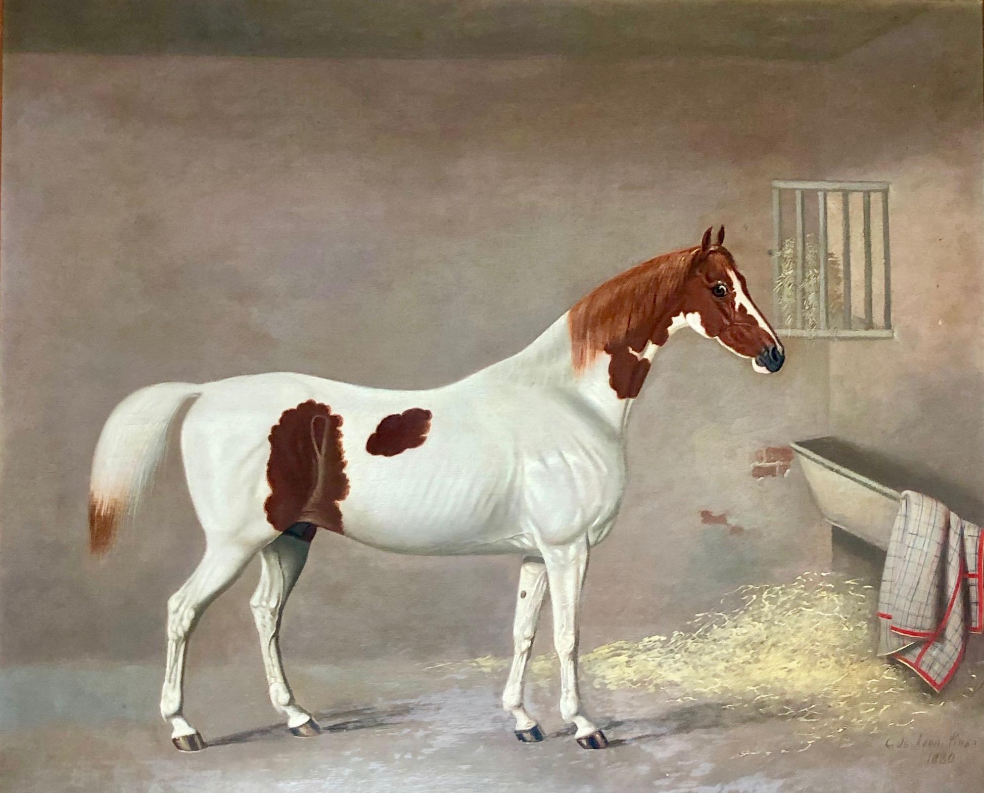 A Skewbald Pony in a Stable by G. Jackson - Gray Interior Painting by G. JACKSON