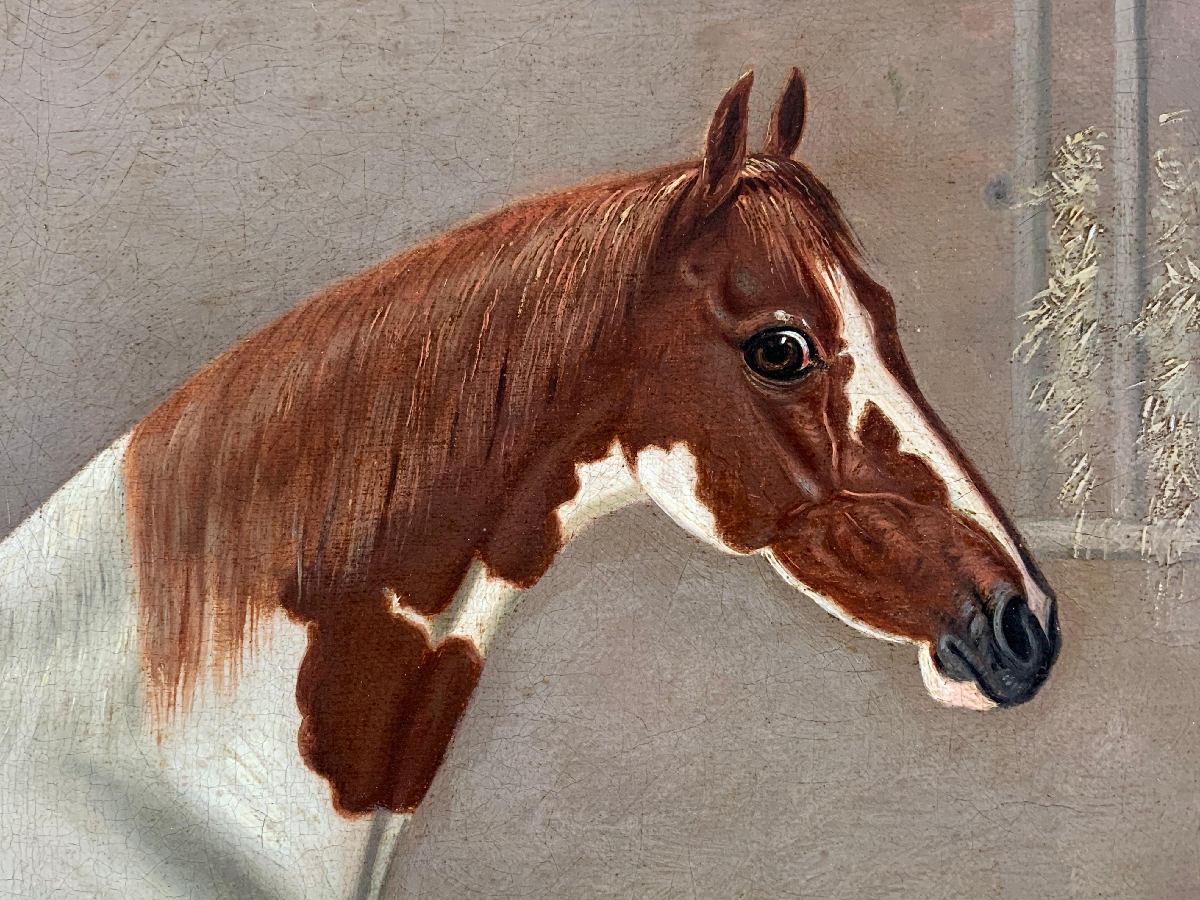 A SKEWBALD HORSE IN A STABLE - BY G. JACKSON.
 
Fine, large, and high quality oil on canvas of a skewbald horse in a stable. Signed G. Jackson. Pinxt and dated 1830 lower right.

A rare example by the celebrated animal painter G. Jackson, who was an