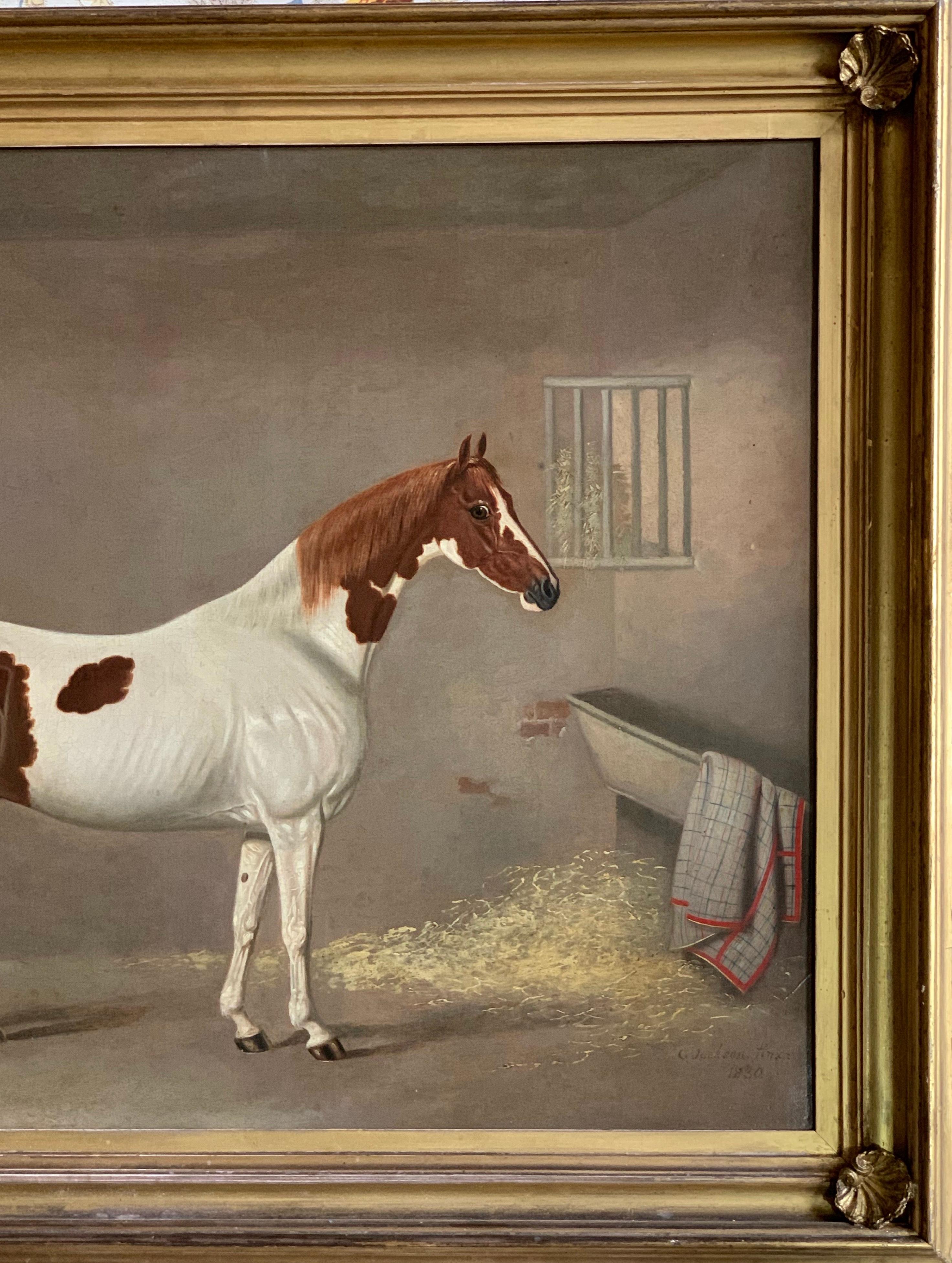 A Skewbald Pony in a Stable by G. Jackson For Sale 3