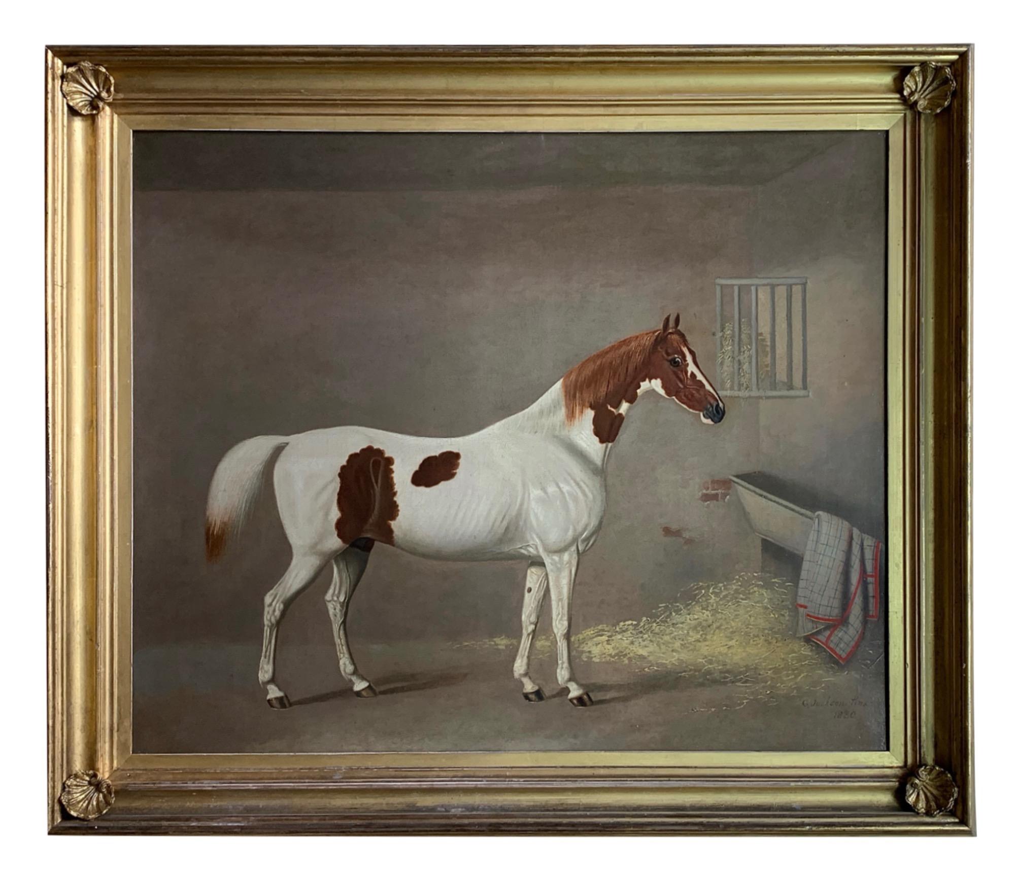 A White and Brown Thoroughbred Horse in a Stable by G. Jackson - Painting by G. JACKSON