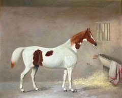 A White and Brown Thoroughbred Horse in a Stable by G. Jackson