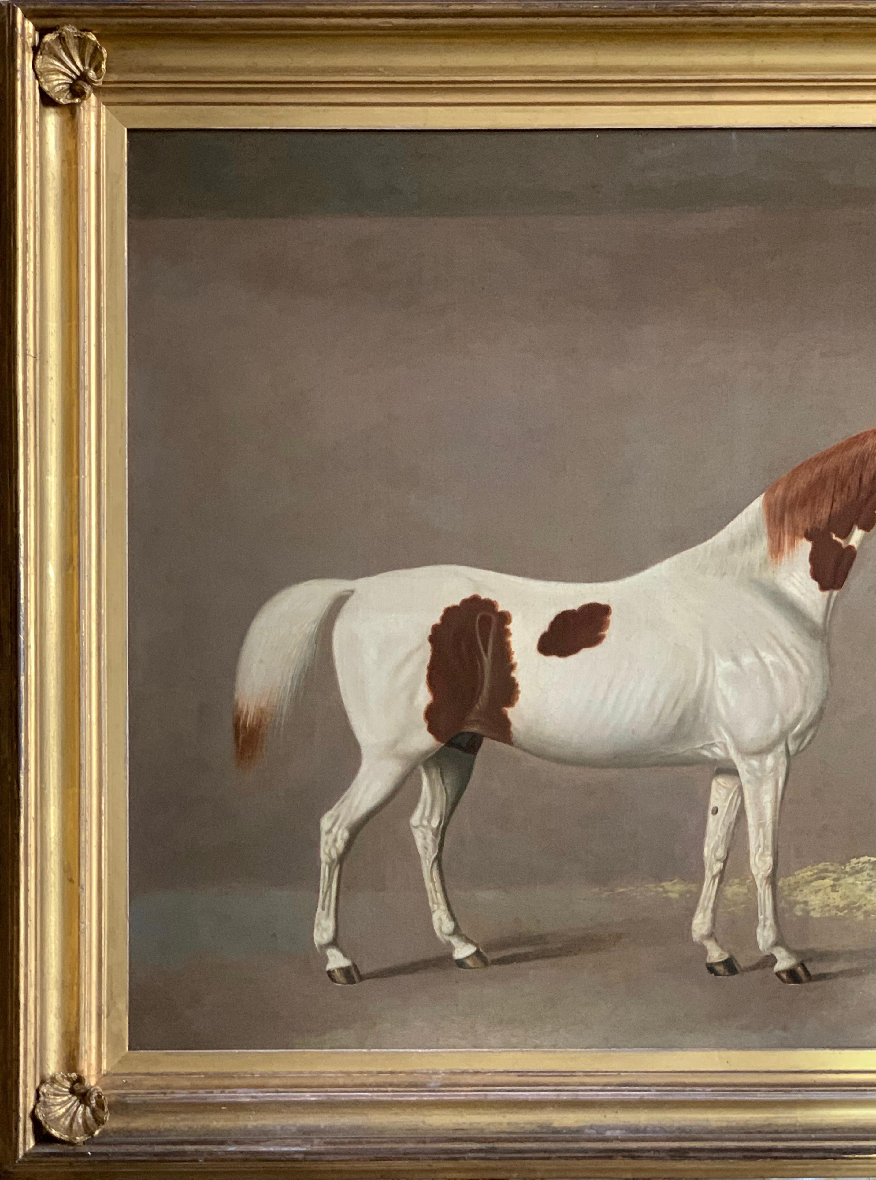 A White and Brown Thoroughbred Horse in a Stable by G. Jackson 2
