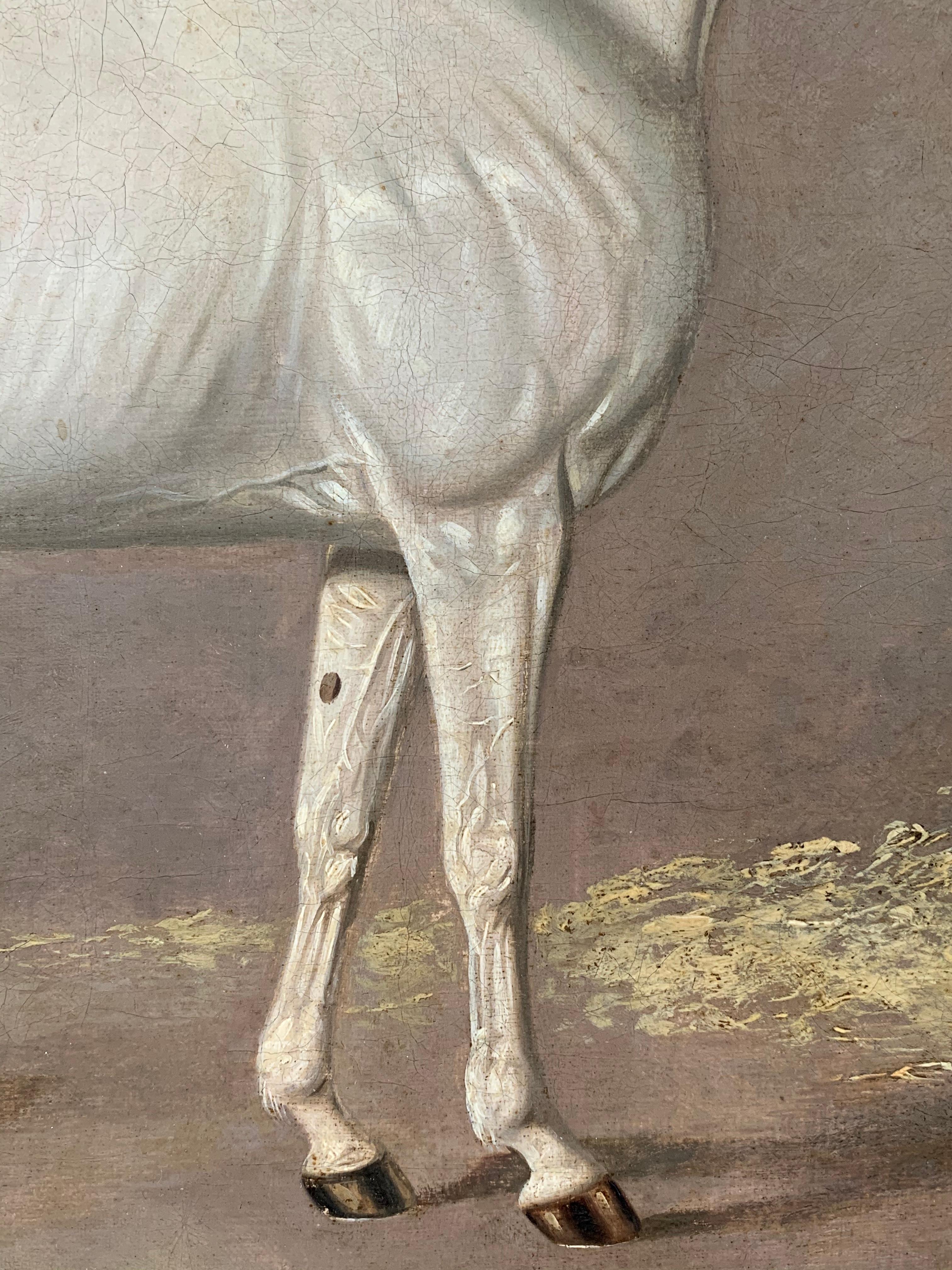 A White and Brown Thoroughbred Horse in a Stable by G. Jackson 3