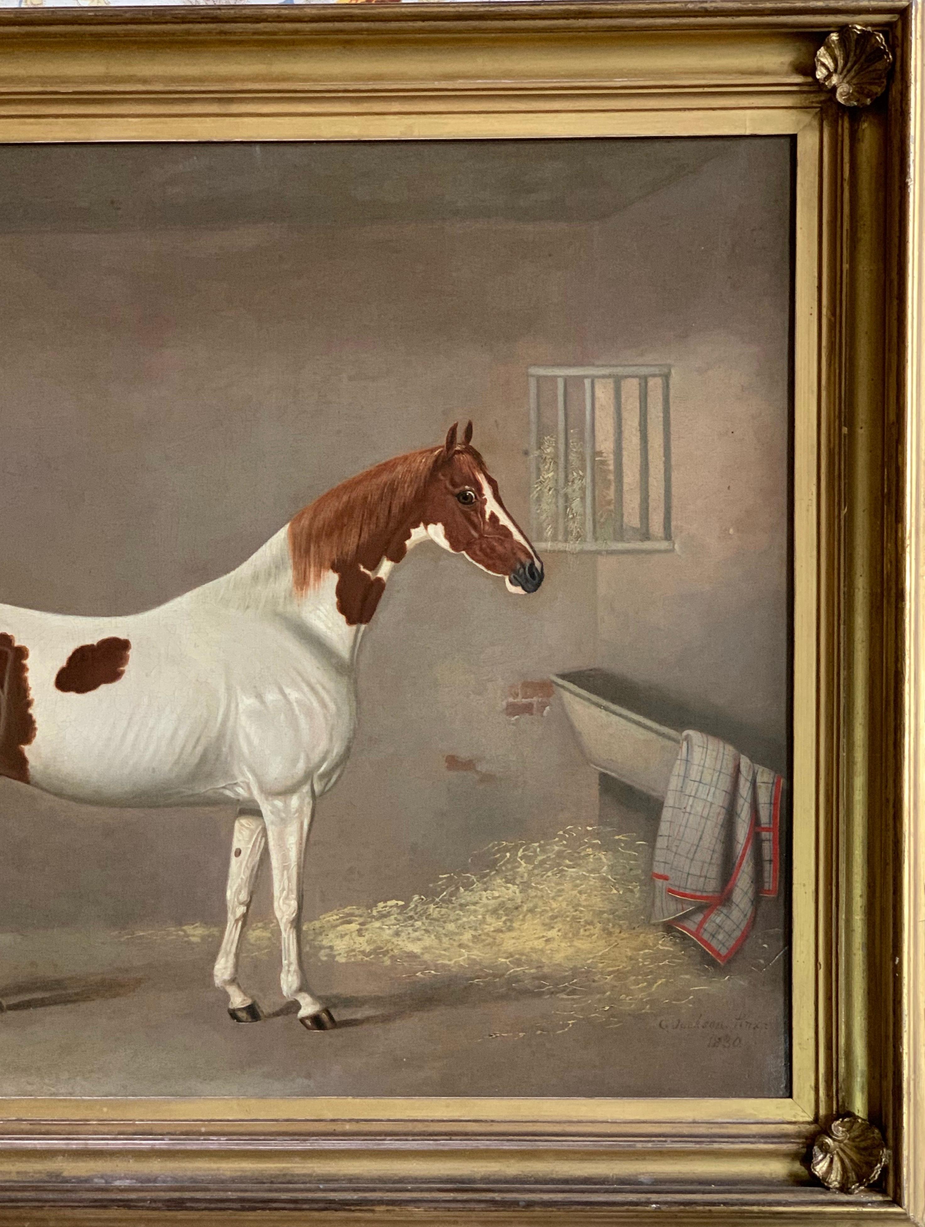 A White and Brown Thoroughbred Horse in a Stable by G. Jackson 4