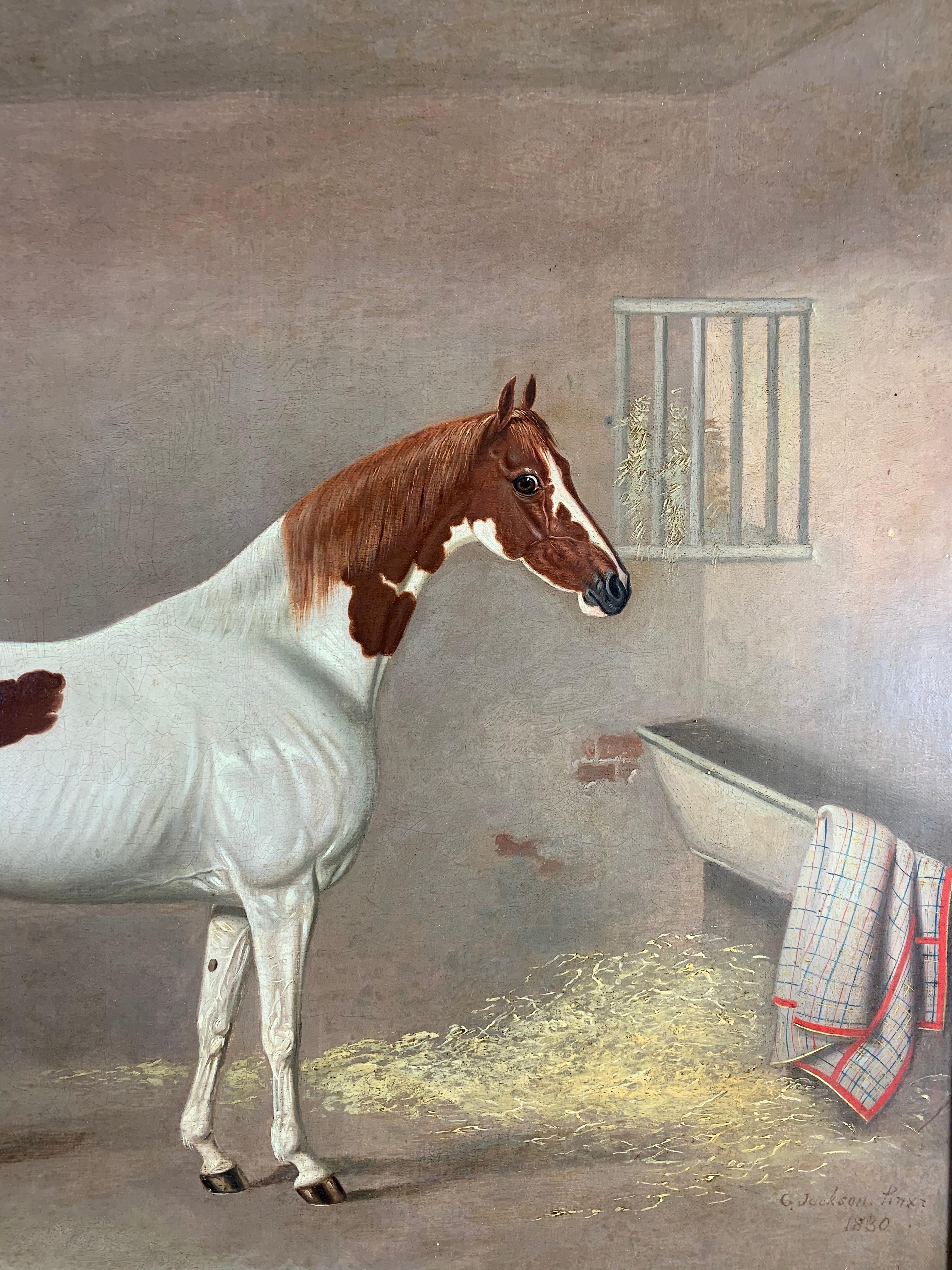 A White and Brown Thoroughbred Horse in a Stable by G. Jackson 5