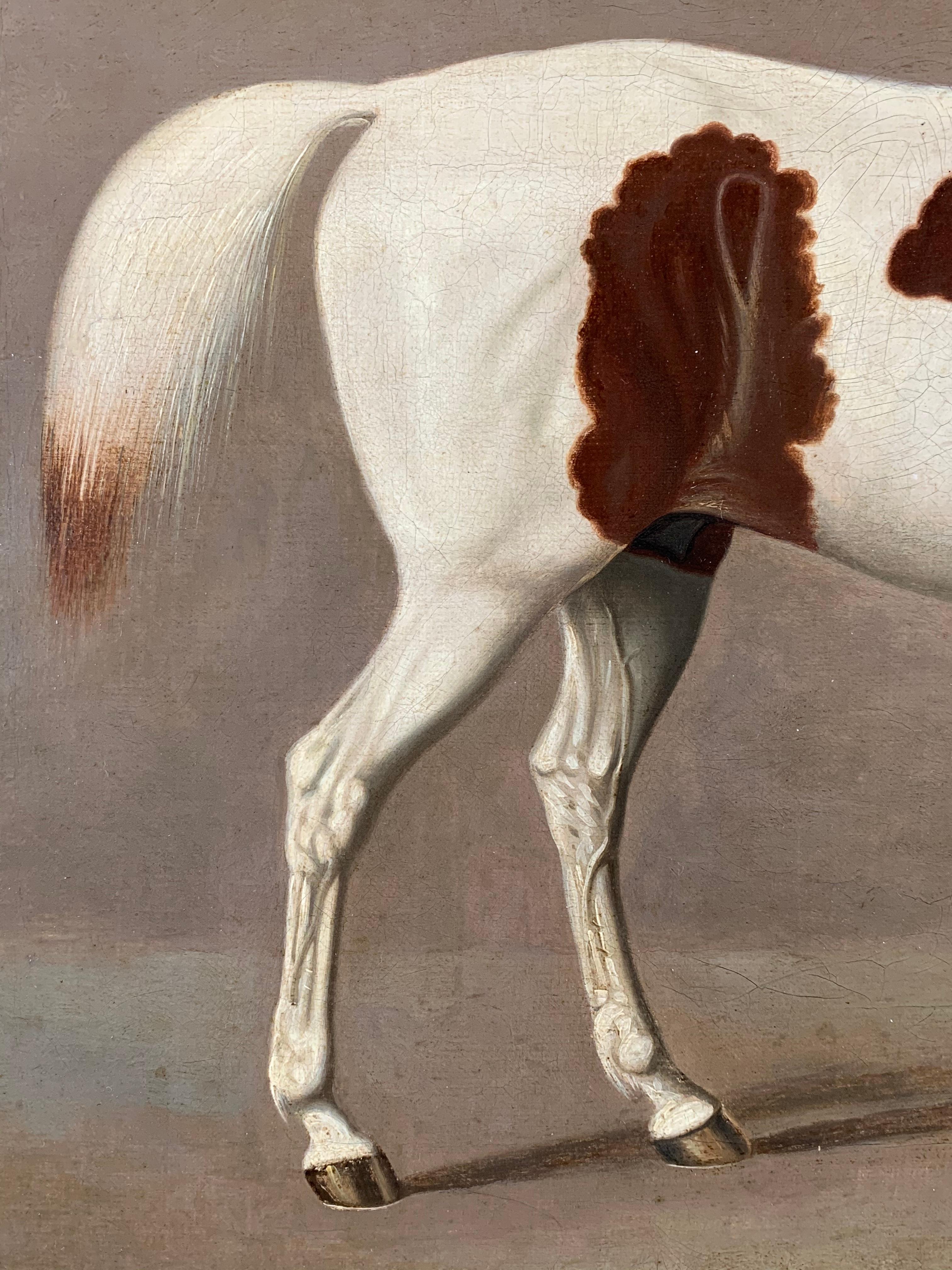 A White and Brown Thoroughbred Horse in a Stable by G. Jackson 6