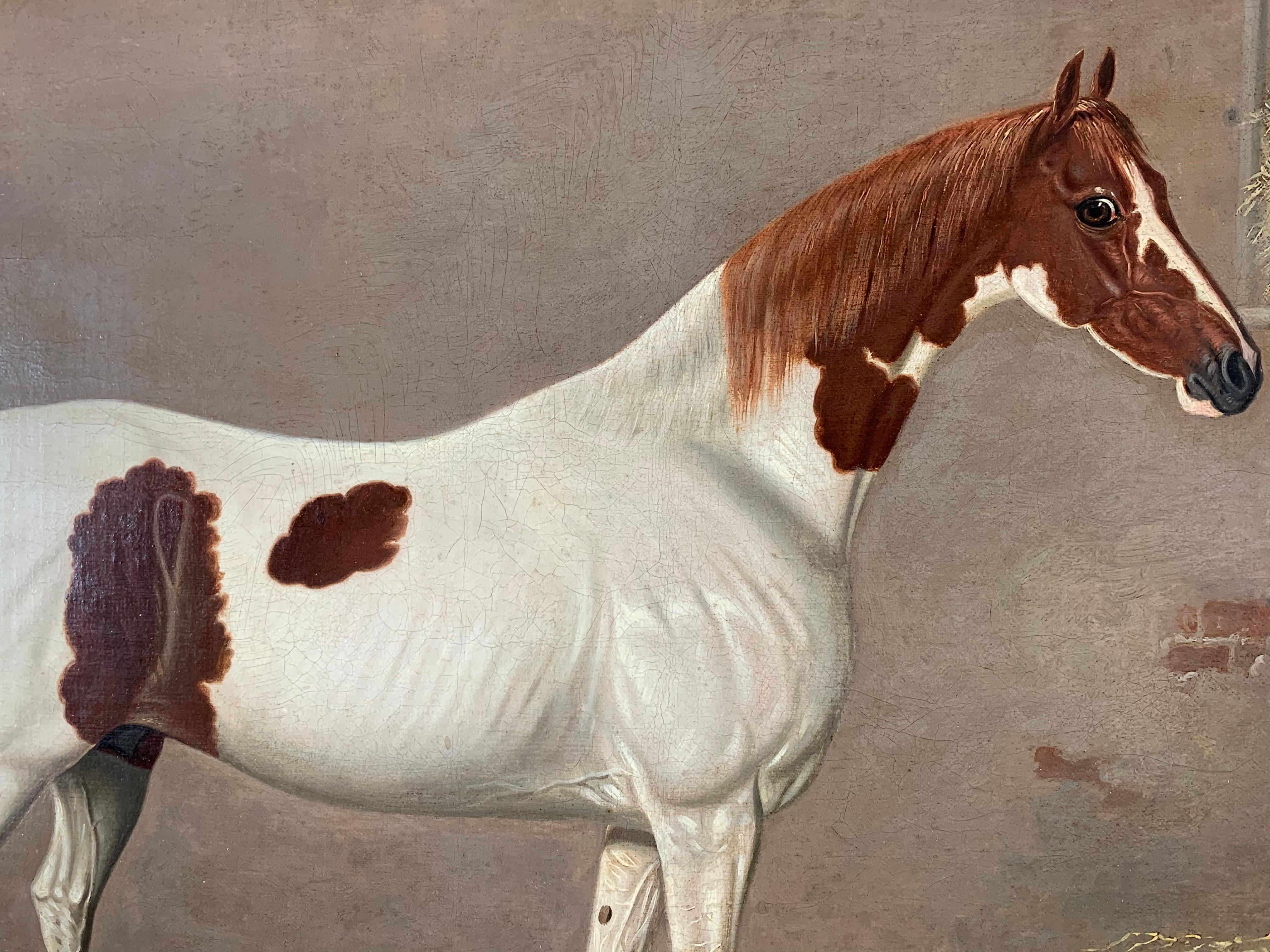A White and Brown Thoroughbred Horse in a Stable by G. Jackson 7