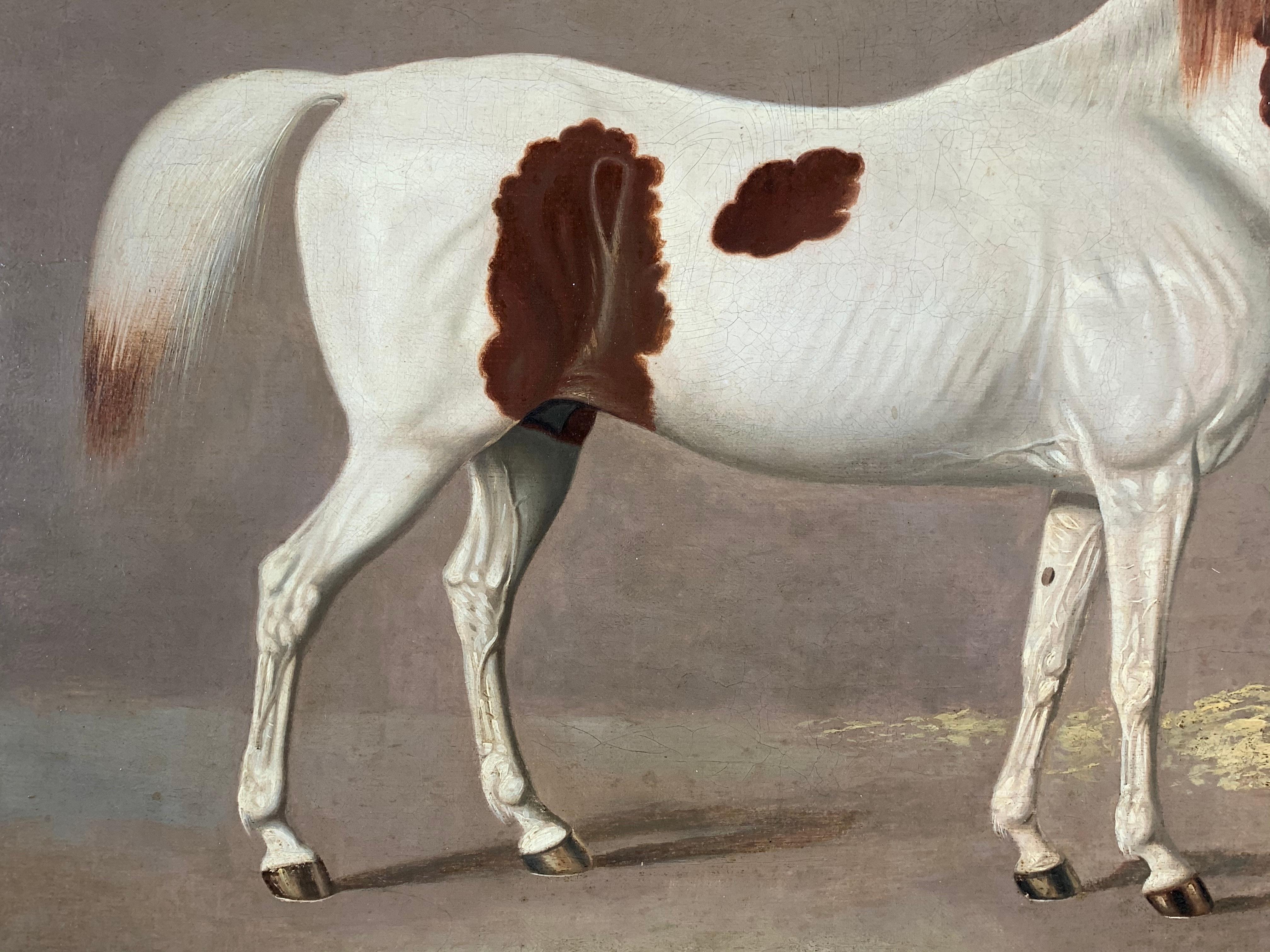 A White and Brown Thoroughbred Horse in a Stable by G. Jackson 8