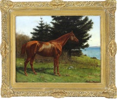 Horse Portrait, Quamichan BC 1894