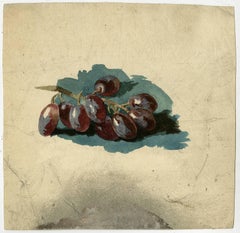 Untitled - Study of a bunch of grapes.