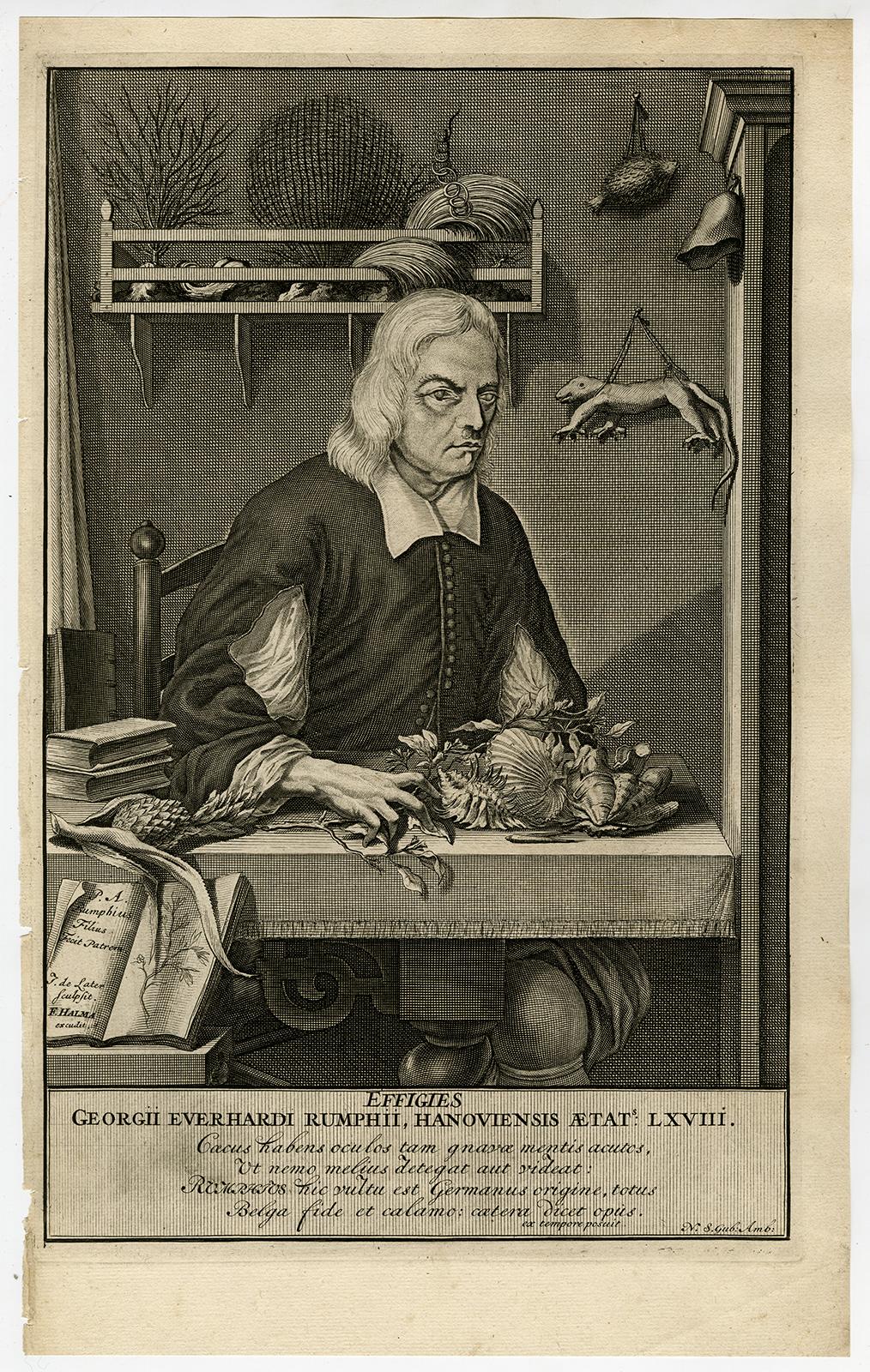 Jorg Eberhardt Rumph Portrait Print - Portrait from Ambonian Cabinet of Curiosities by Rumphius - Engraving - 18th c.