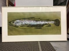 green trout fish painting with mirror and passion