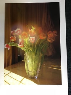 Glowing tulips