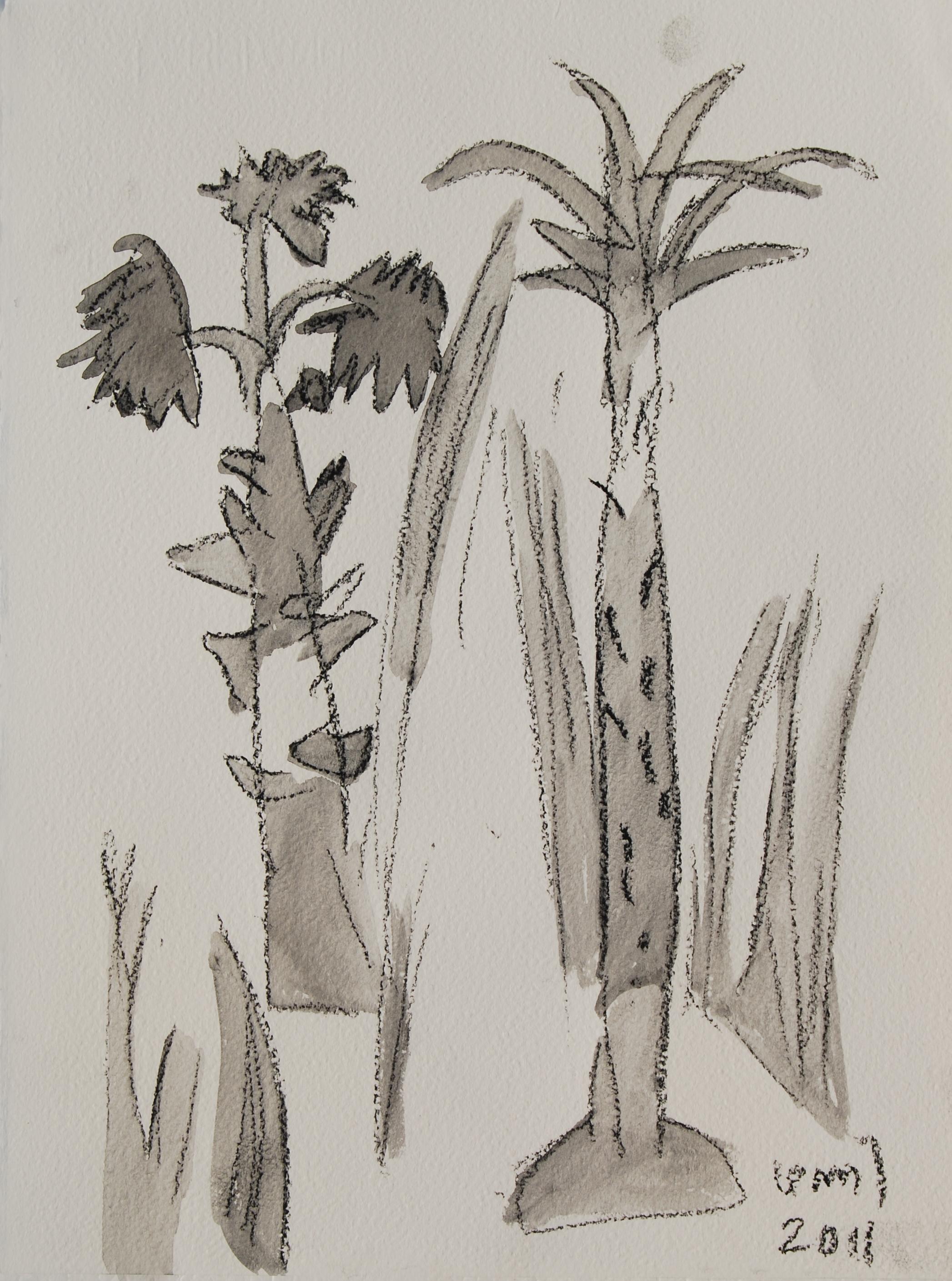 Palm Grooves of South India, Charcoal & Wash on Paper, Grey, White "In Stock"