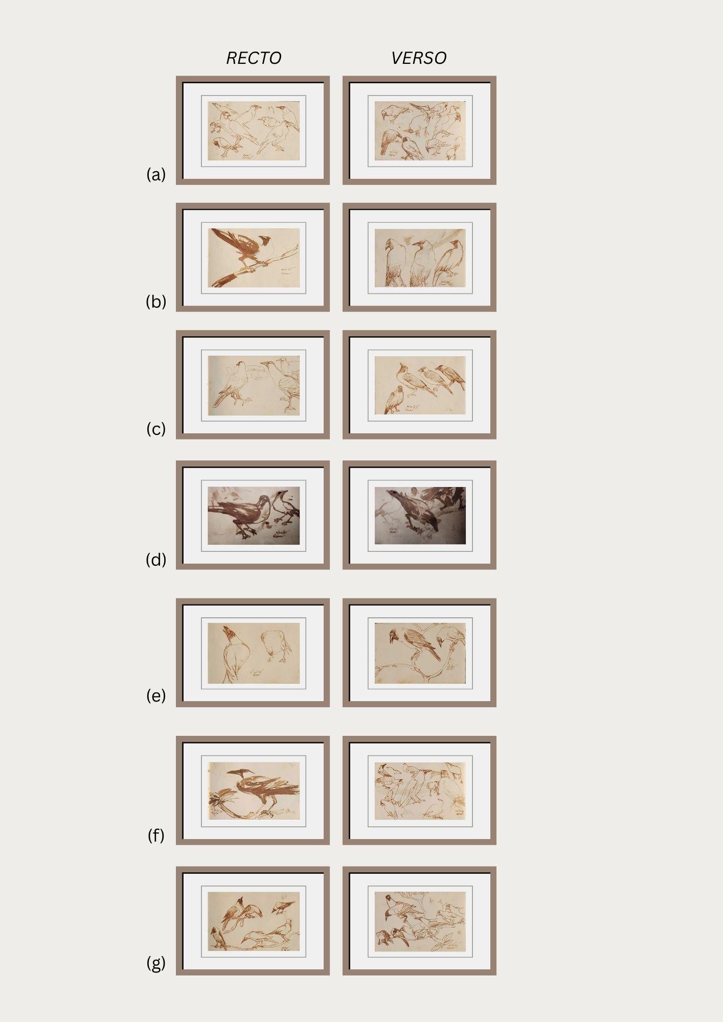 Crows, Brush, Watercolour on Paper, Set of 14 works by Indian Artist 