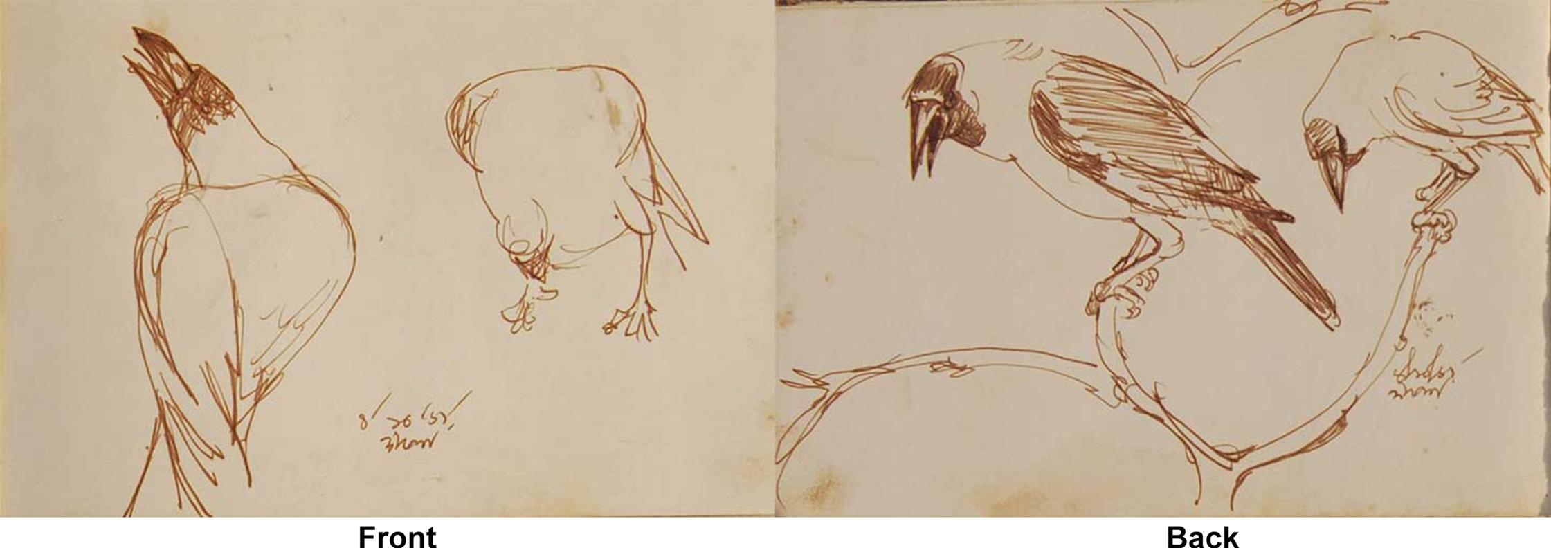 Crows, Brush, Watercolour on Paper, Set of 14 works by Indian Artist 