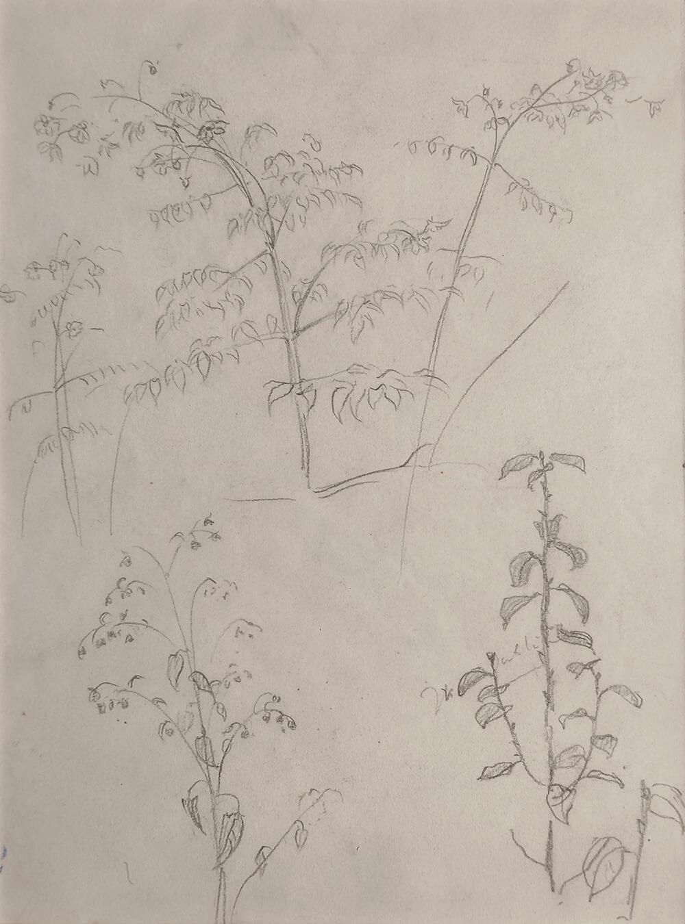 Rajgir-1 & Roadside Tea Stall, Bankura, Lápiz sobre papel, Conjunto de 2 obras-En Stock - Painting Moderno de Atul Bose