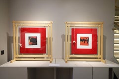 Schoß der Schöpfung