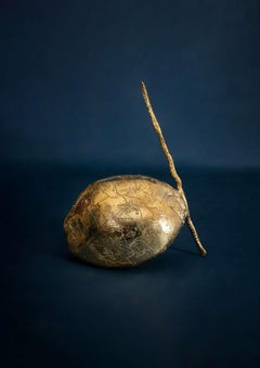Noce di cocco piccola 1