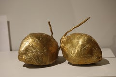 Noce di cocco piccola 1
