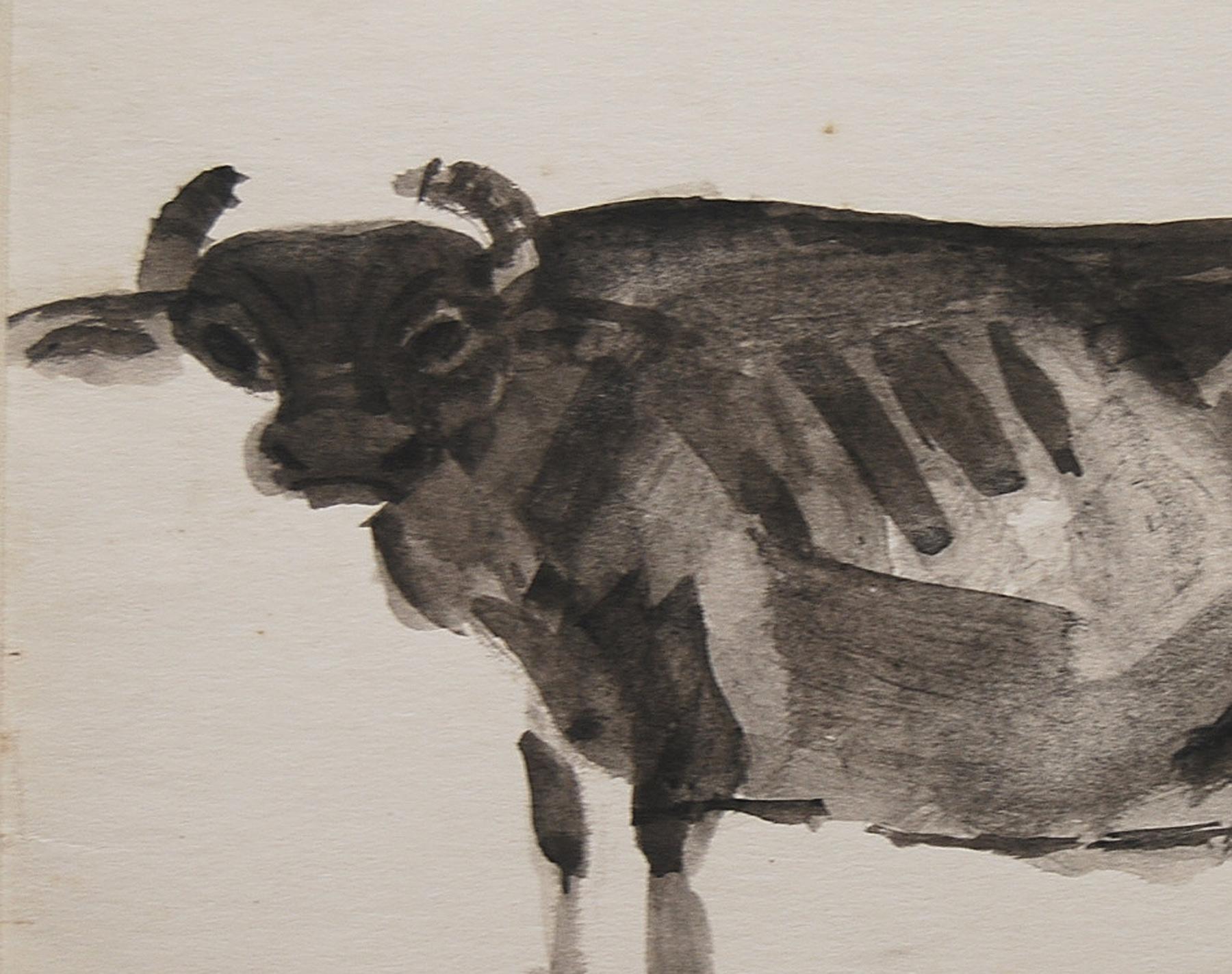 indian cow drawing