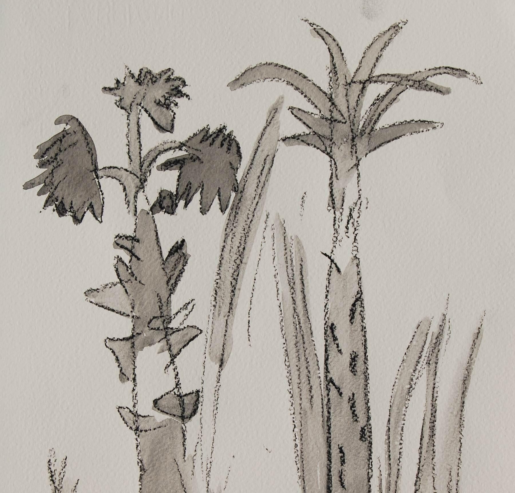 Palm Grooves of South India, Charcoal & Wash on Paper, (set of two) 