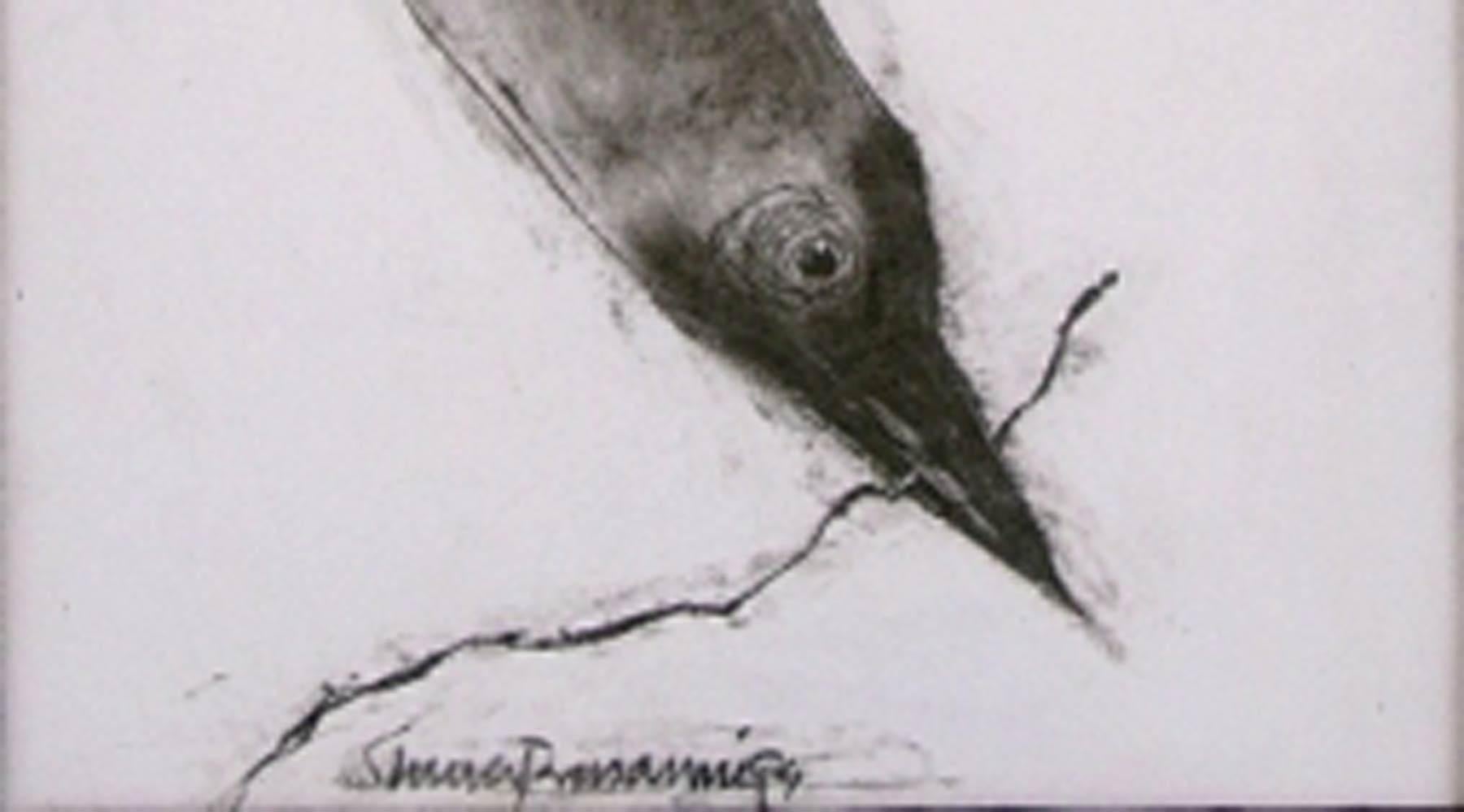 Crow, Animal Drawing, Conte on paper, Black, White By Modern Artist 
