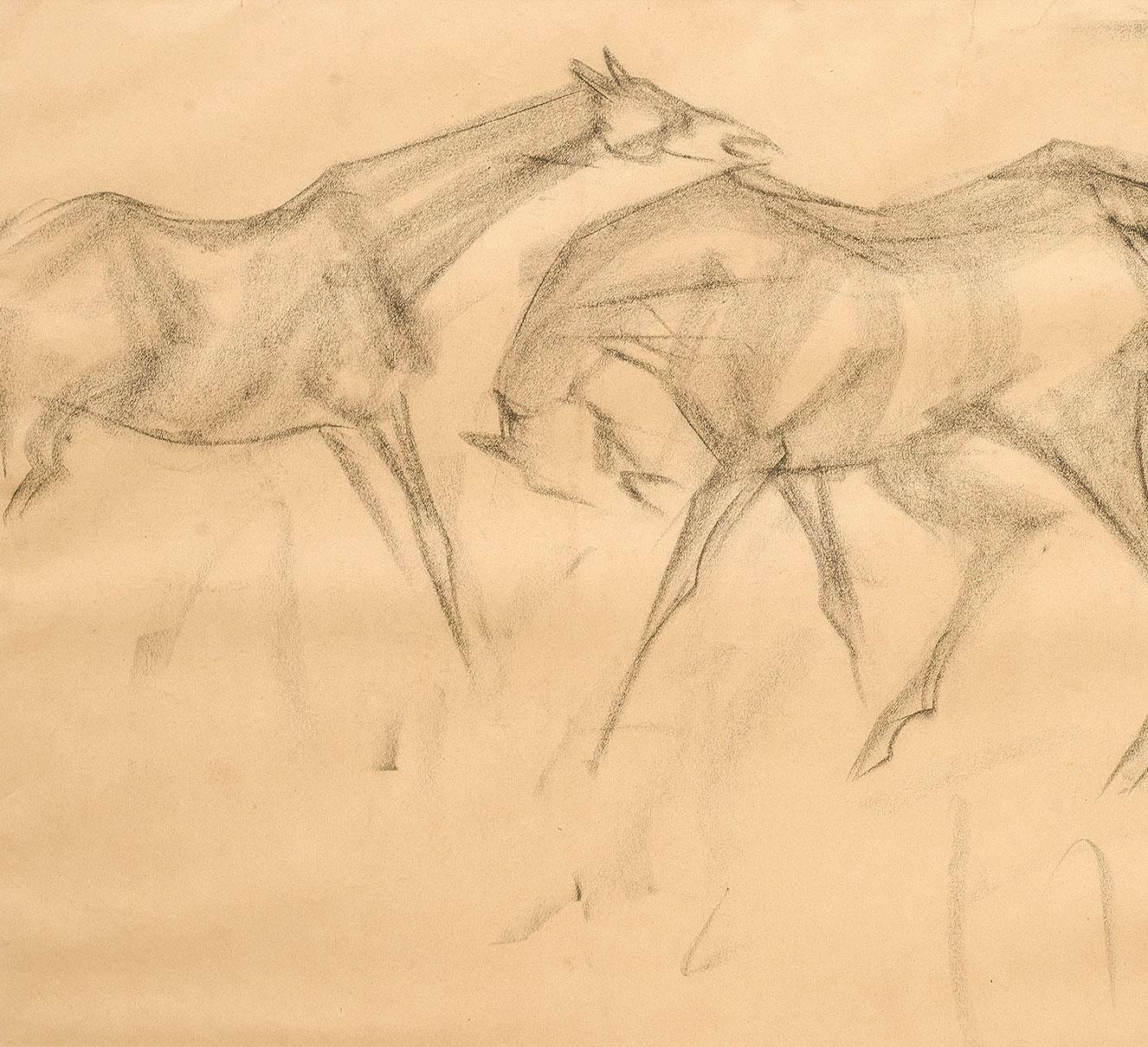 Frhe Pferde VI, Holzkohle-Zeichnung, braun, schwarz, vom indischen Knstler In Stock (Moderne), Art, von Sunil Das